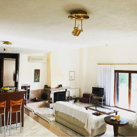 Bright & Spacious Seaview Villa Σίβηρη Εξωτερικό φωτογραφία